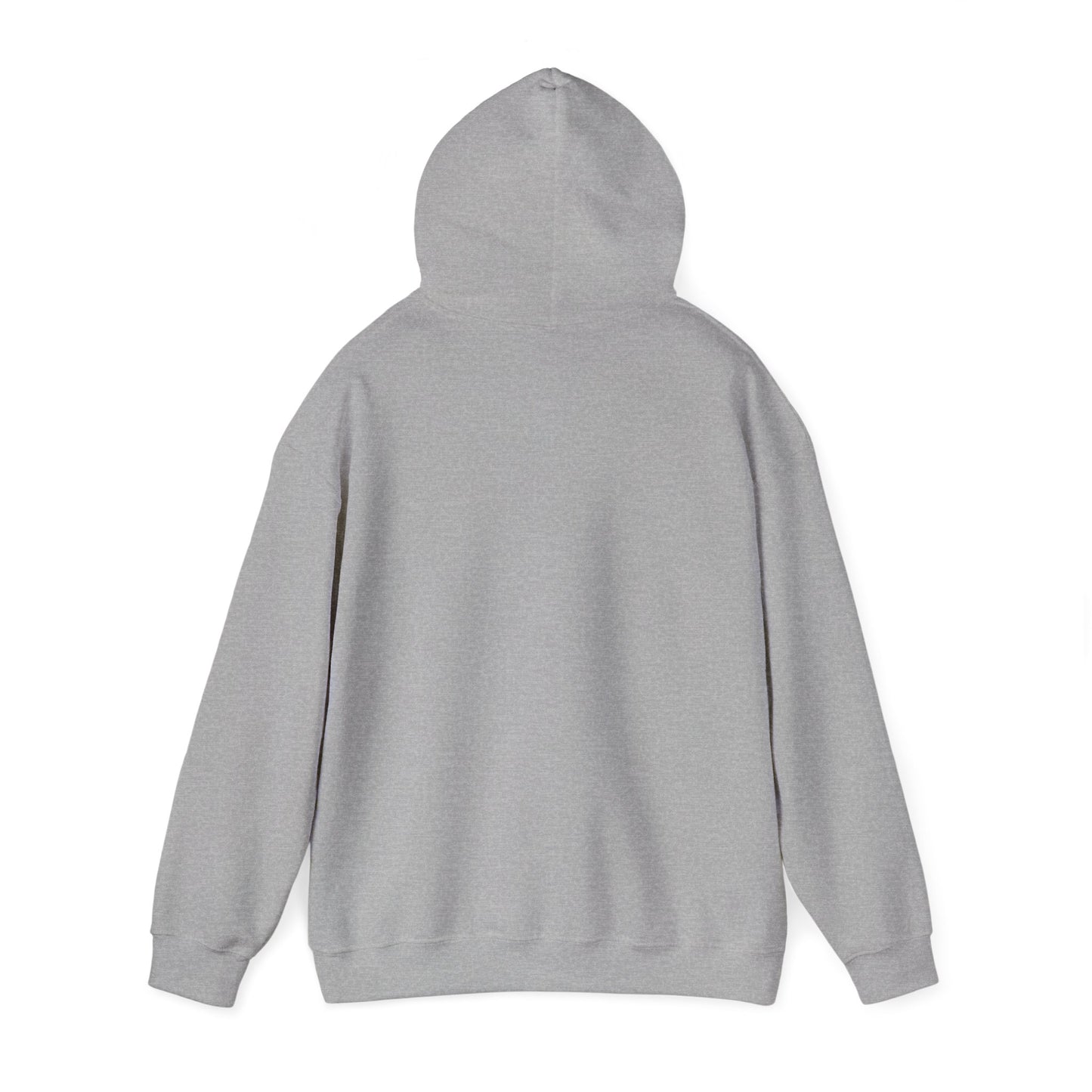Rally Round the Nati Unisex Hoodie
