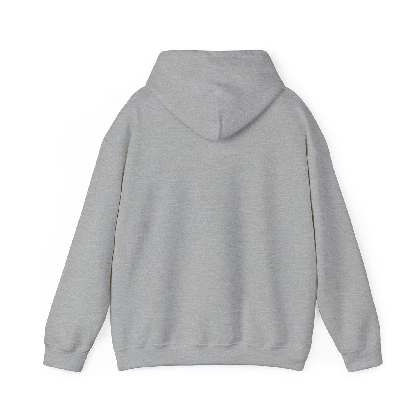 Rally Round the Nati Unisex Hoodie